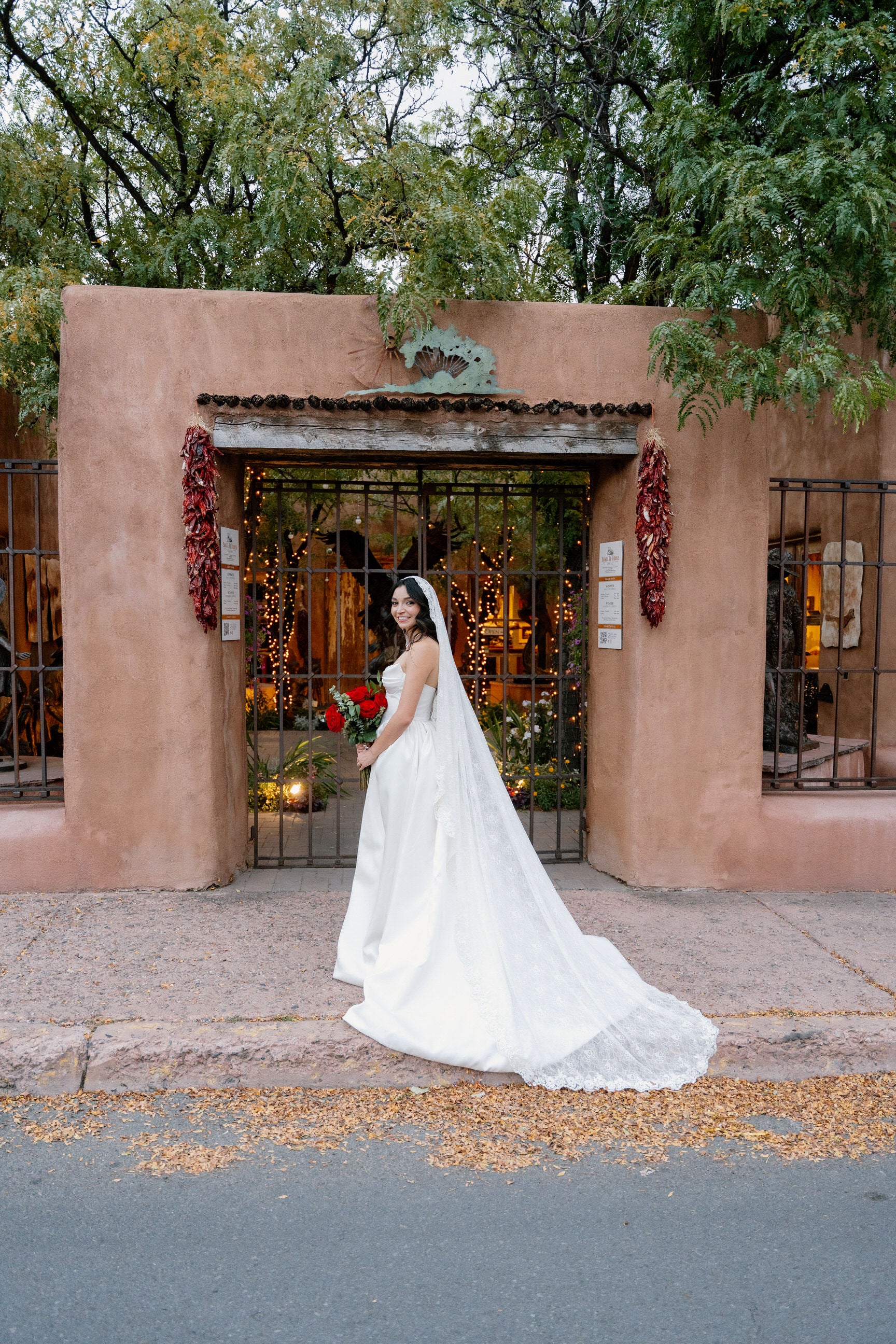 Mexico lace cathedral wedding veil chapel length with lace