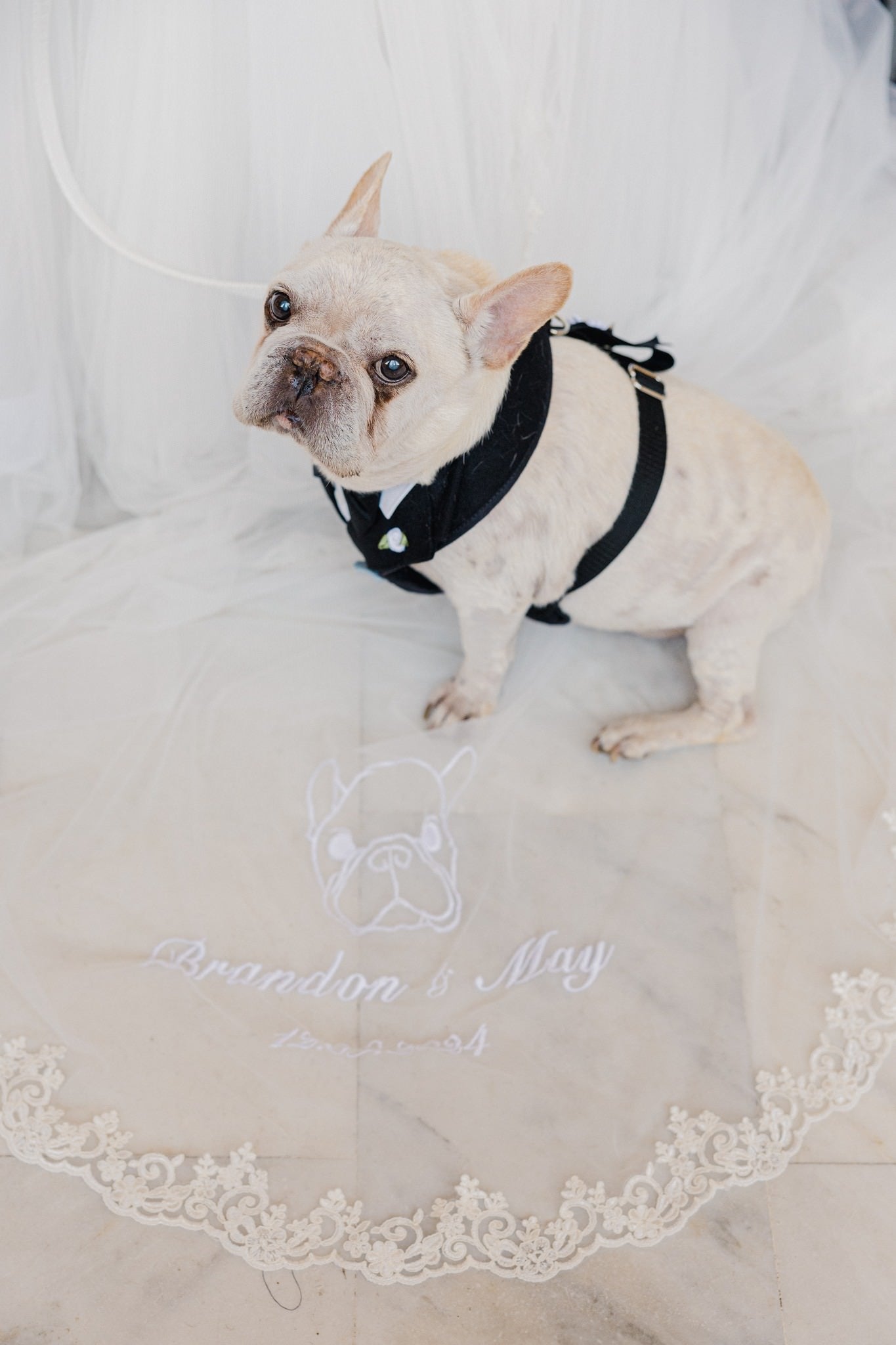 Dog wearing a black bow tie on a white veil with embroidery of the dog